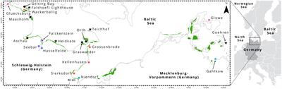 Substantial seagrass blue carbon pools in the southwestern Baltic Sea include relics of terrestrial peatlands